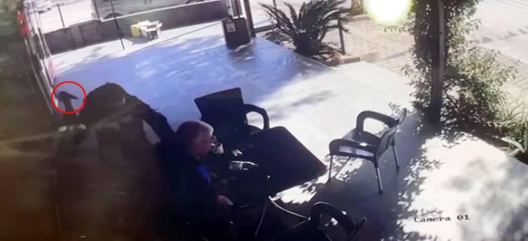 Zabıtada mobbing iddiası cinayetle bitti: Akli dengesi yerinde! 1